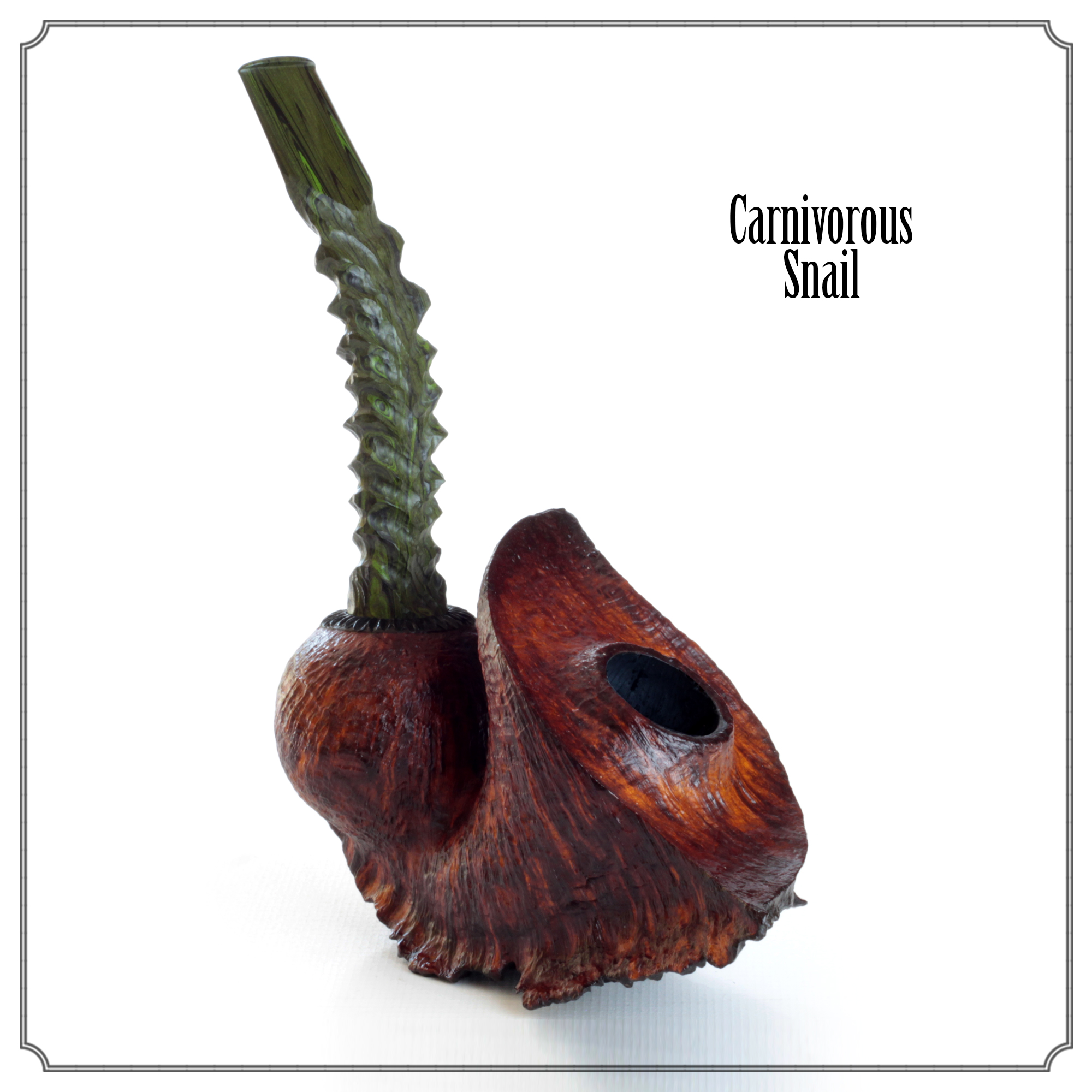 Poison Garden : ‘Carnivorous Snail’