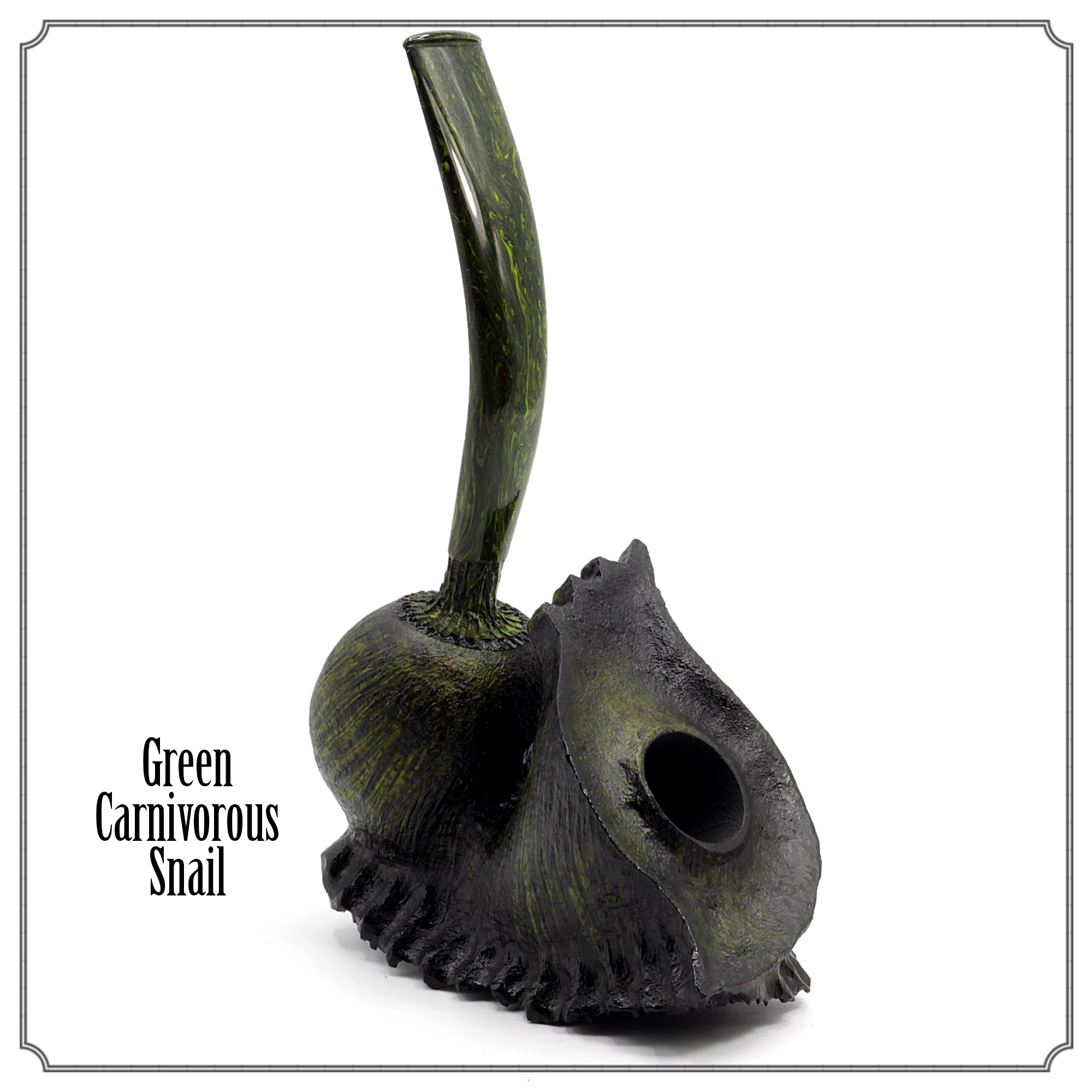 Poison Garden : ‘Carnivorous Snail’